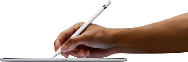 Apple pencil for biometric signature