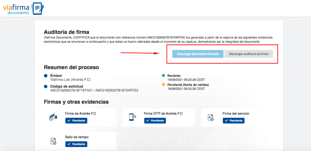 Captura de previsualización del documento probatorio