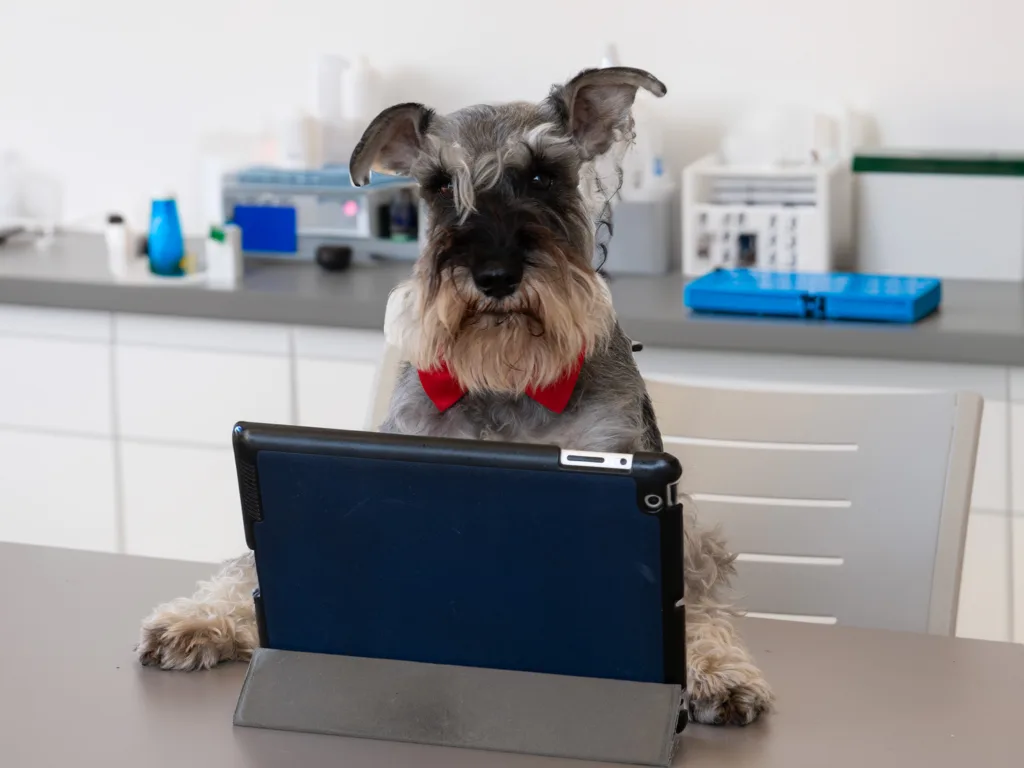 Fleki the first dog to digitally sign a document