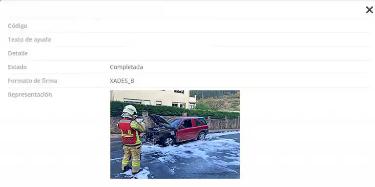 detalles de imagen de siniestro