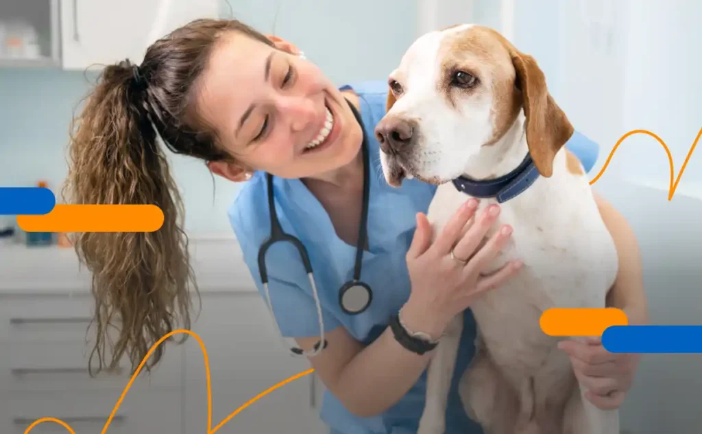 Veterinary professional examining a dog during a consultation, after digitising the signature on veterinary medical paperwork.