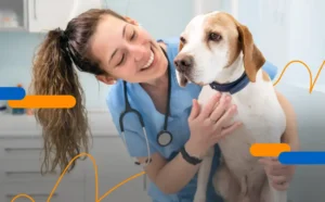 Cómo digitalizar una clínica veterinaria